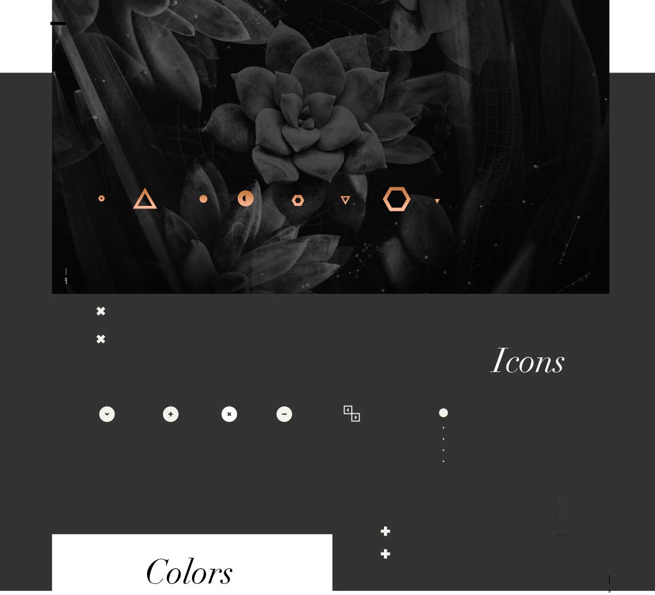 the assemblage asset 28