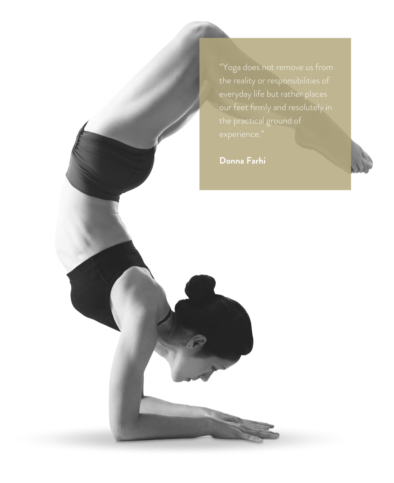 the yoga school home hd copy