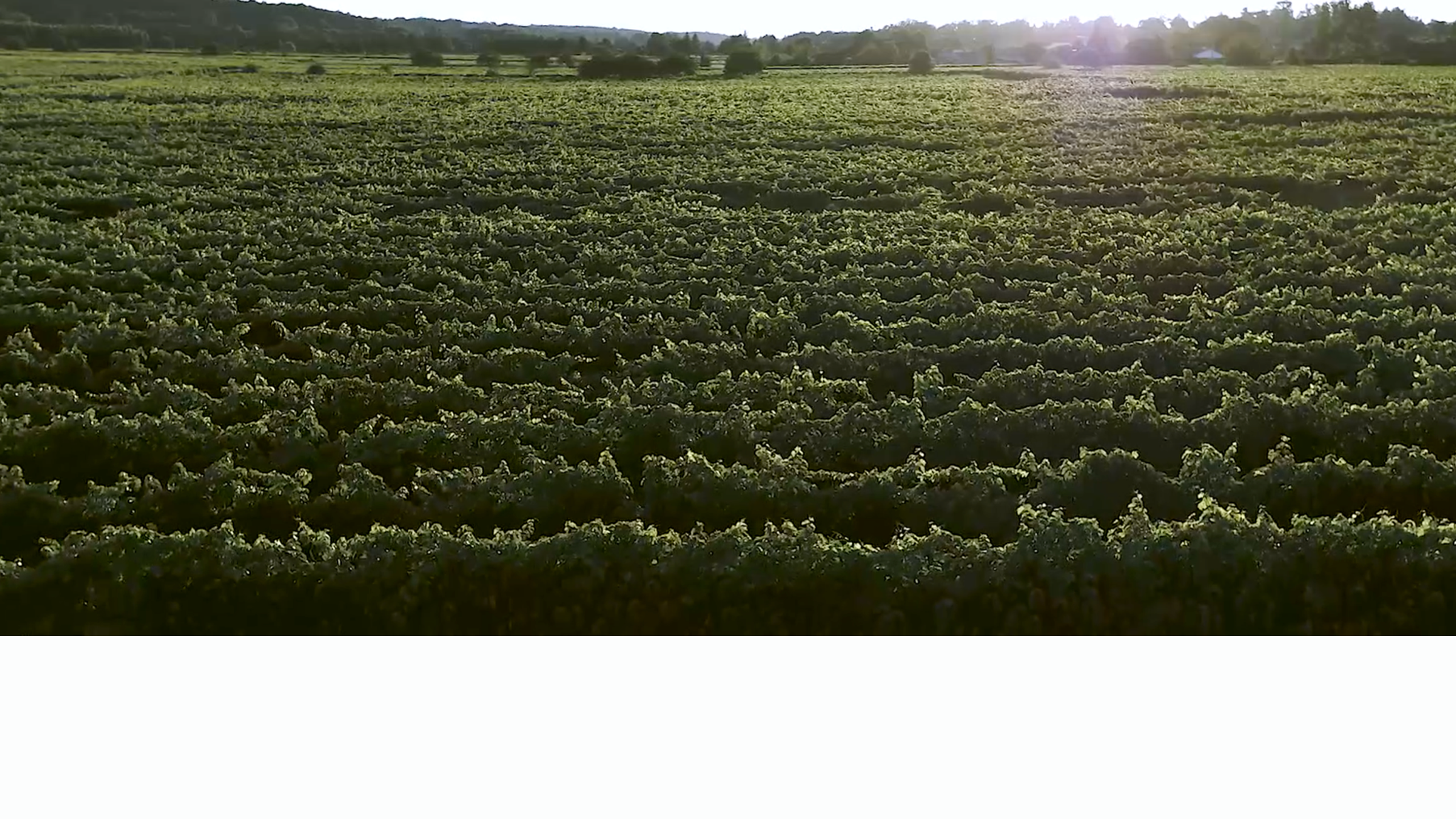 Grand Marnier landscape