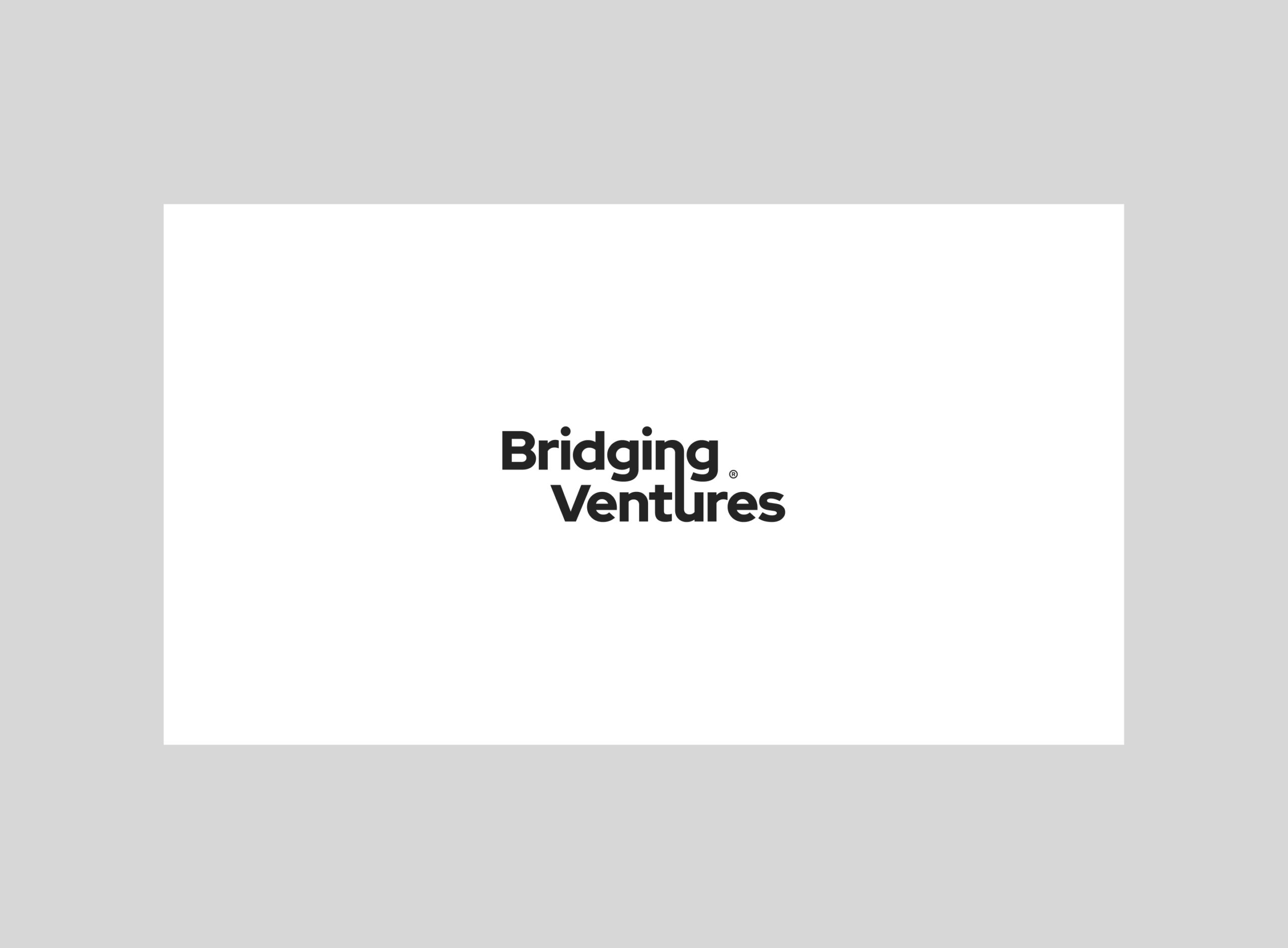 bridging ventures scaled 9