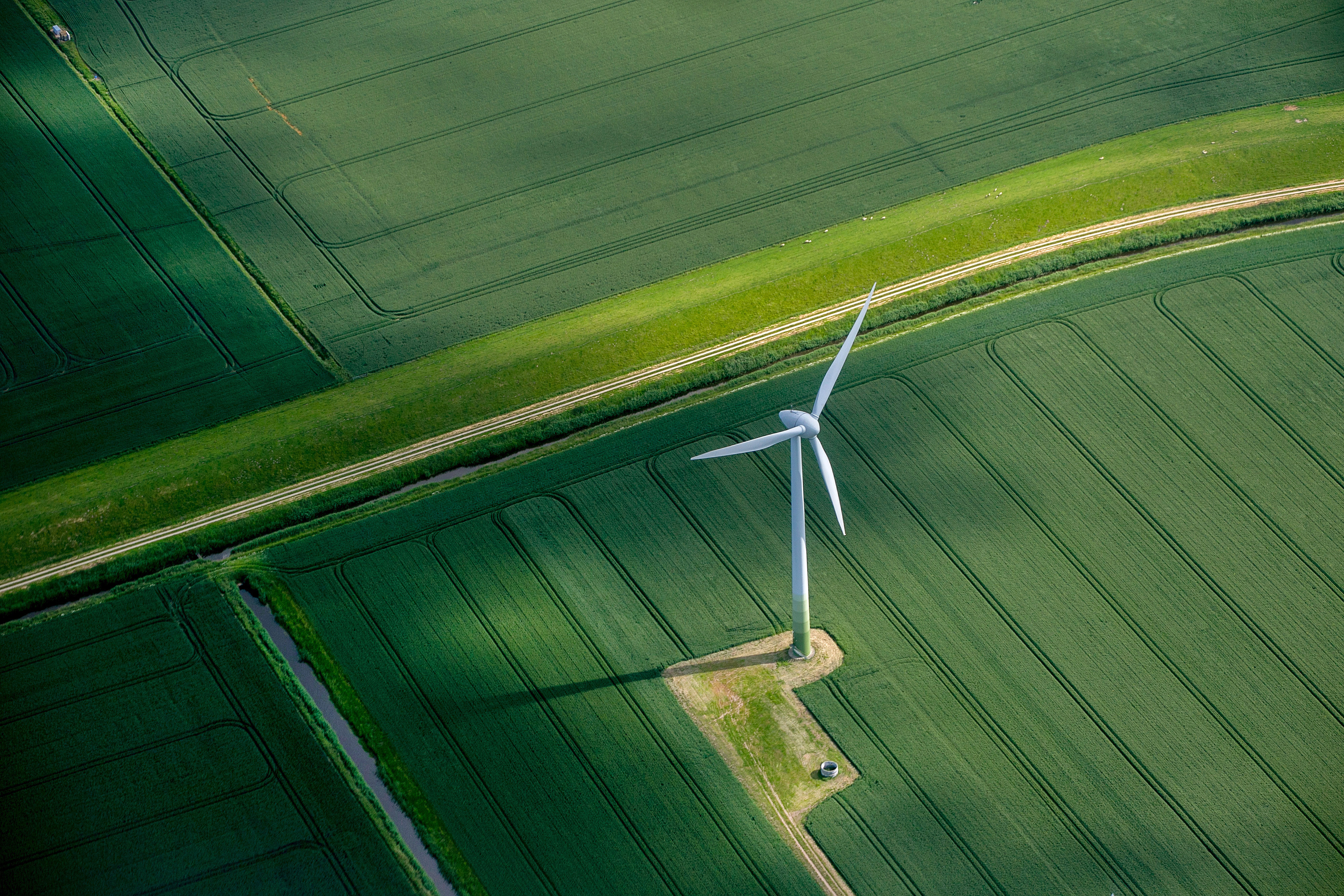 A wind turbine stands in a field of agricultural crops