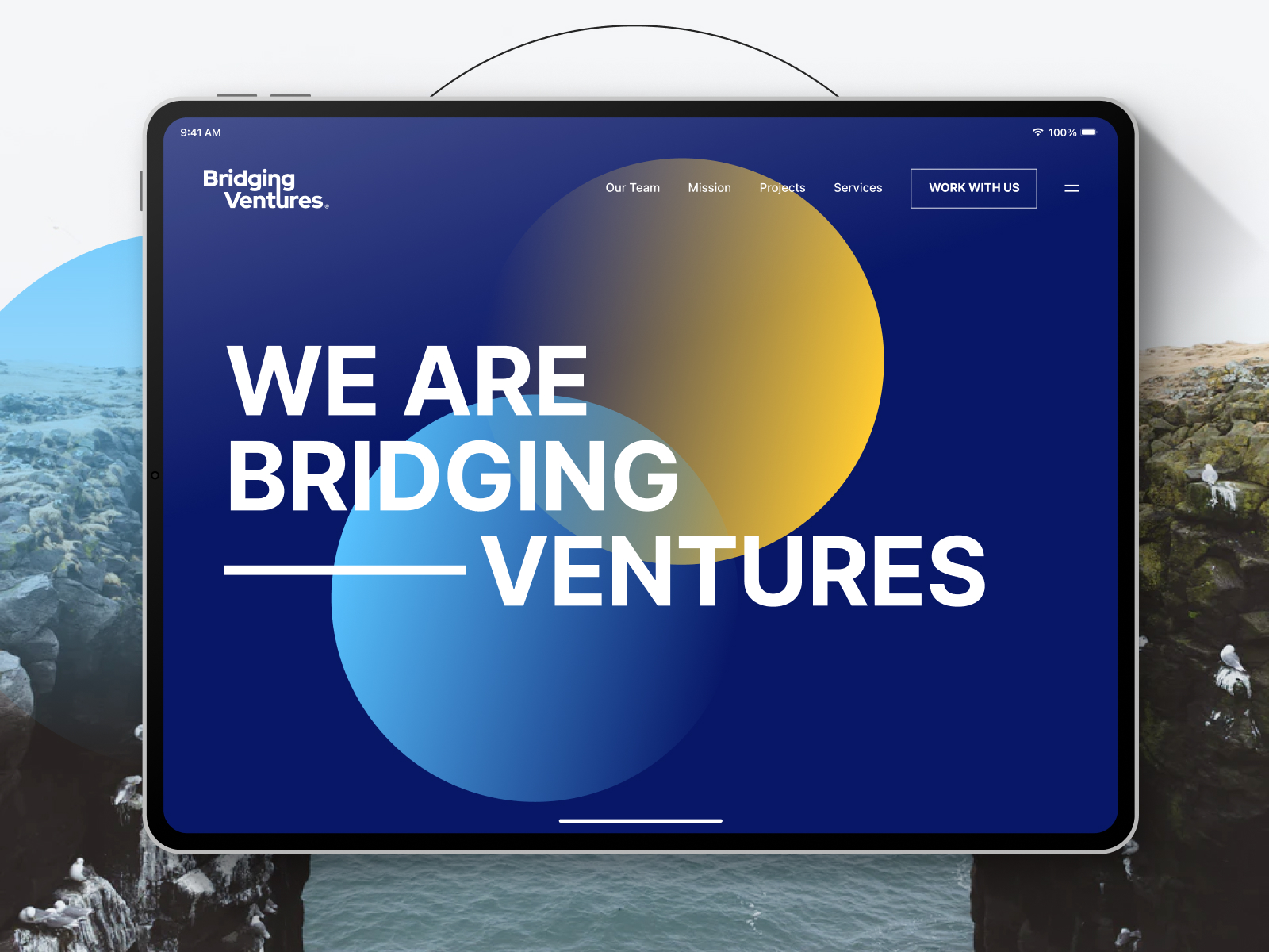 Bridging Ventures - CSS Winner Site of The Day 2